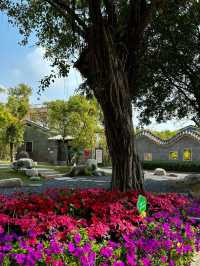 雍陌村：中山古村的悠悠情韻