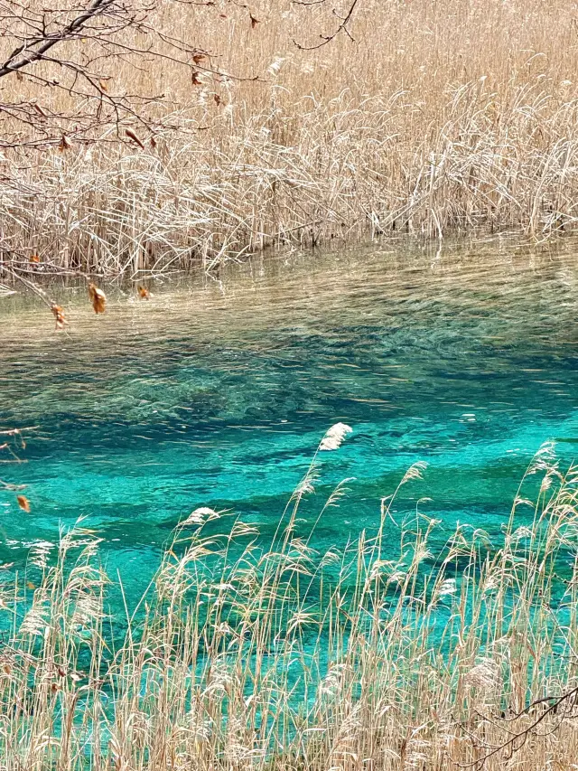 연휴에는 구채구 맞춤 여행으로 더욱 자유롭게