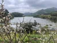 Day Trip to Chengdu