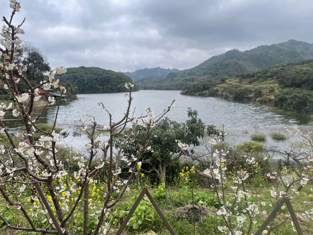 Day Trip to Chengdu