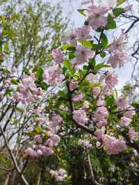 上海吳淞炮台灣國家濕地公園