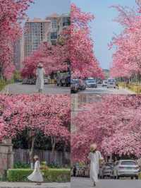 沒去東南亞，住進滇池畔，同樣在春城解鎖度假體驗
