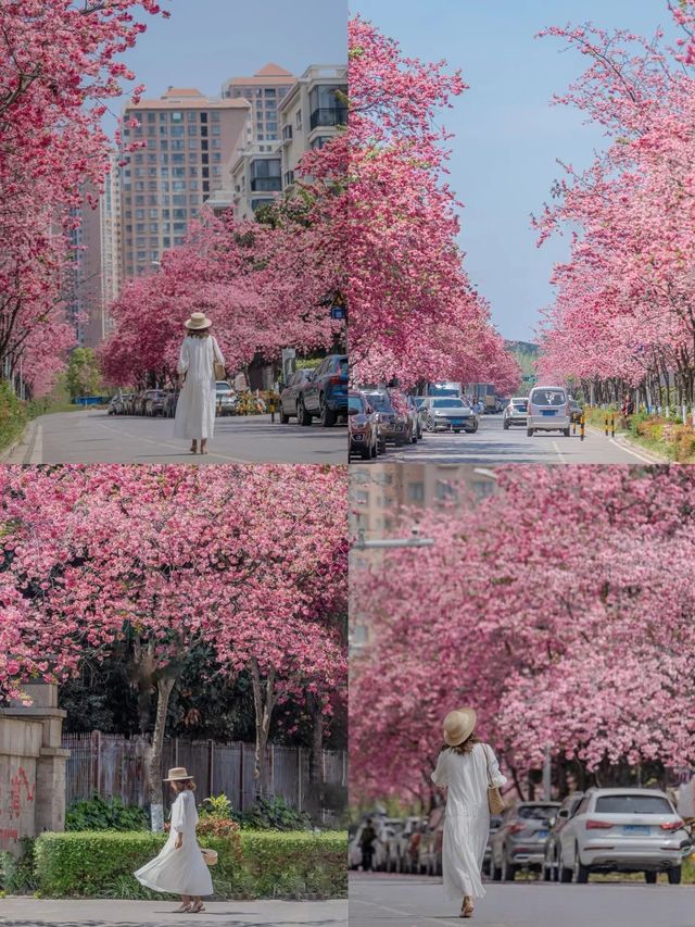 沒去東南亞，住進滇池畔，同樣在春城解鎖度假體驗