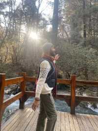 Panda Base Volunteer Experience - Mountain Day Tour 