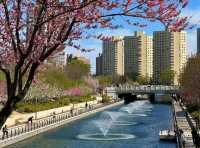 “京城塞納河”亮馬河國際風情水岸