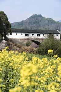 廊橋再夢：一座藏在深山的明代古橋