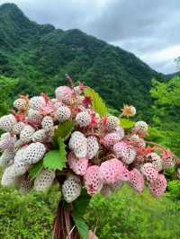 昆明周邊遠足|每週一山，山野行走，親近自然
