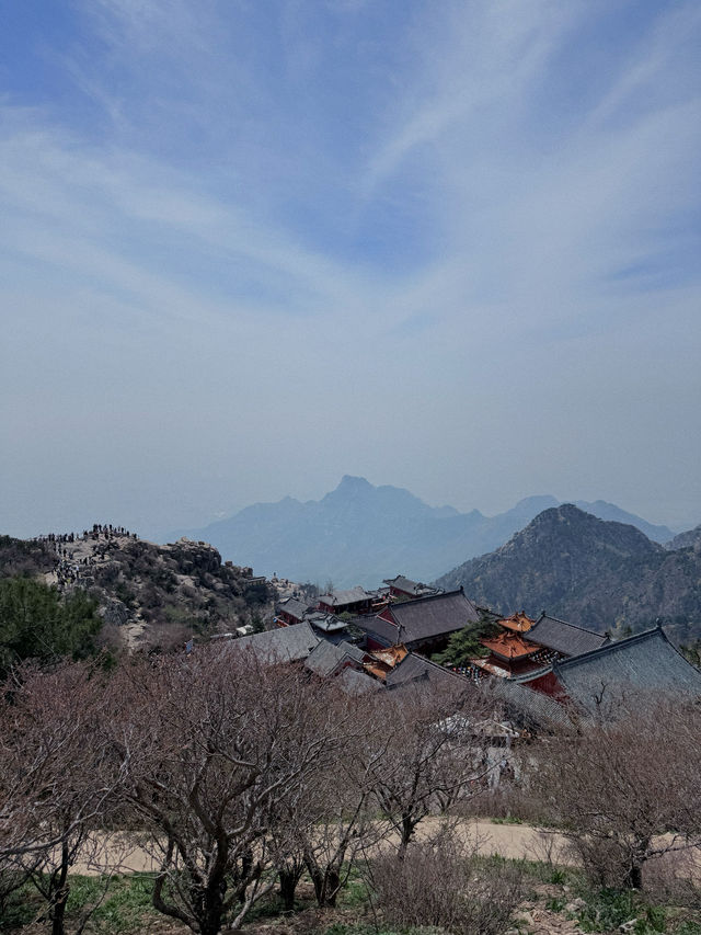 30歲才爬泰山也不算晚（不傷膝蓋版攻略？