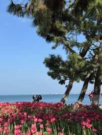 山東威海