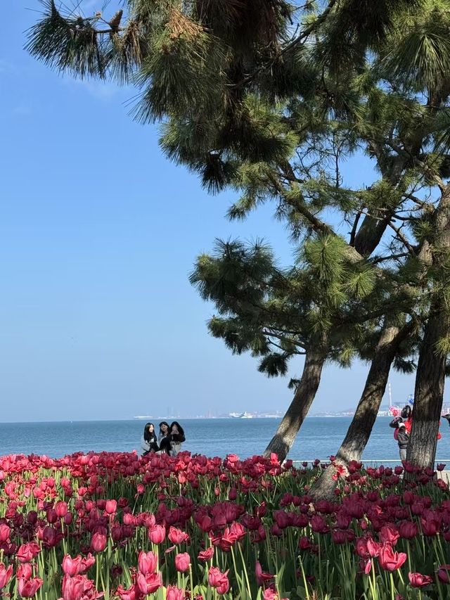 山東威海