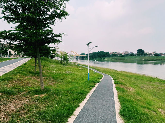 廣東省佛山市一處公園景點：濱江生態濕地公園，適合觀光旅遊、度假休閒等！