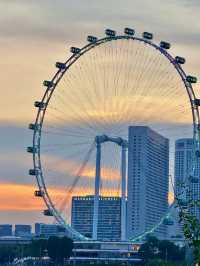 高空眺望，心隨景行：新加坡摩天觀景輪之旅