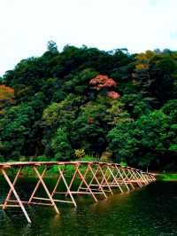 【婺源四日漫遊指南｜從油菜花海到徽州古村的深度攻略】