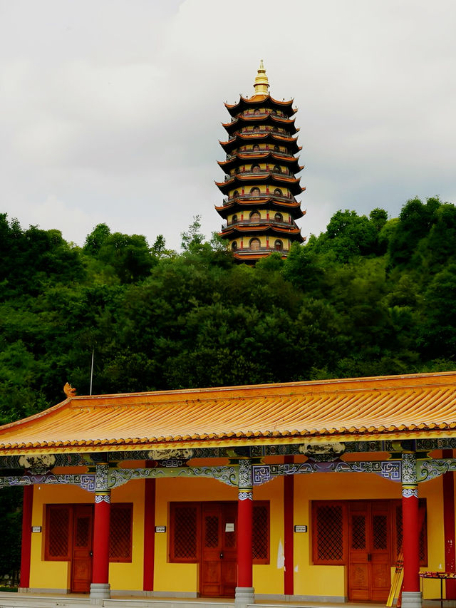 隨手一影都似去咗外國旅行，勁多人問我去咗邊度🤩