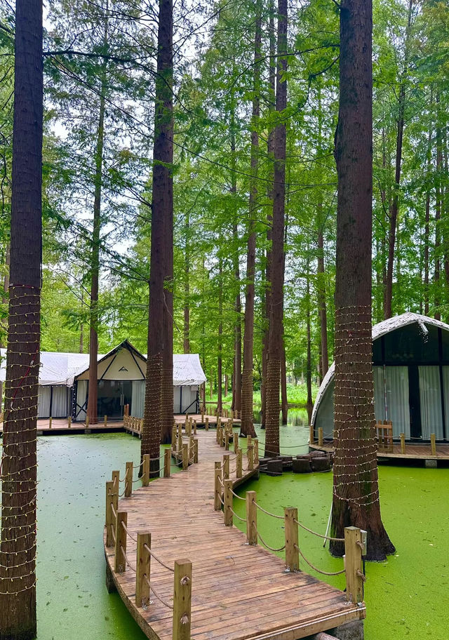 河南信陽旅遊攻略：帶你體驗茶園生活