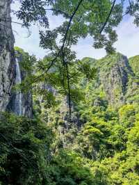 一山一藥王，一景一傳奇——藥王山深度體驗