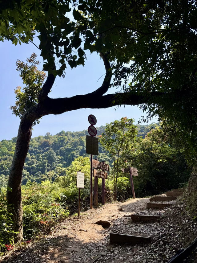 雲頂之上，尋一段安靜的風