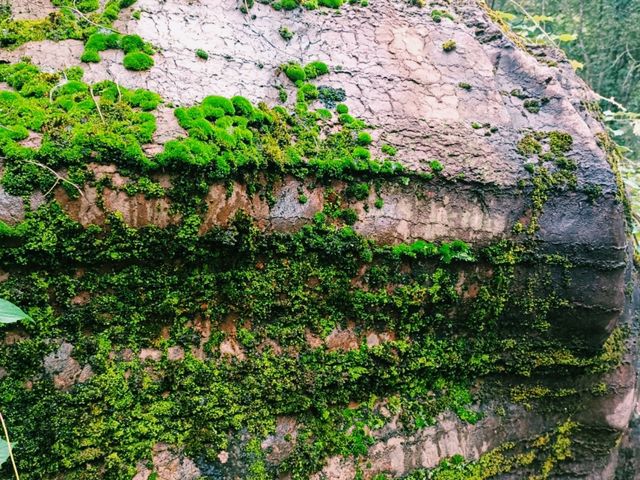 The Enchanting Red Stone Forest in Hunan