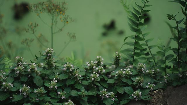 貴州｜六日五夜小眾路線休閒遊