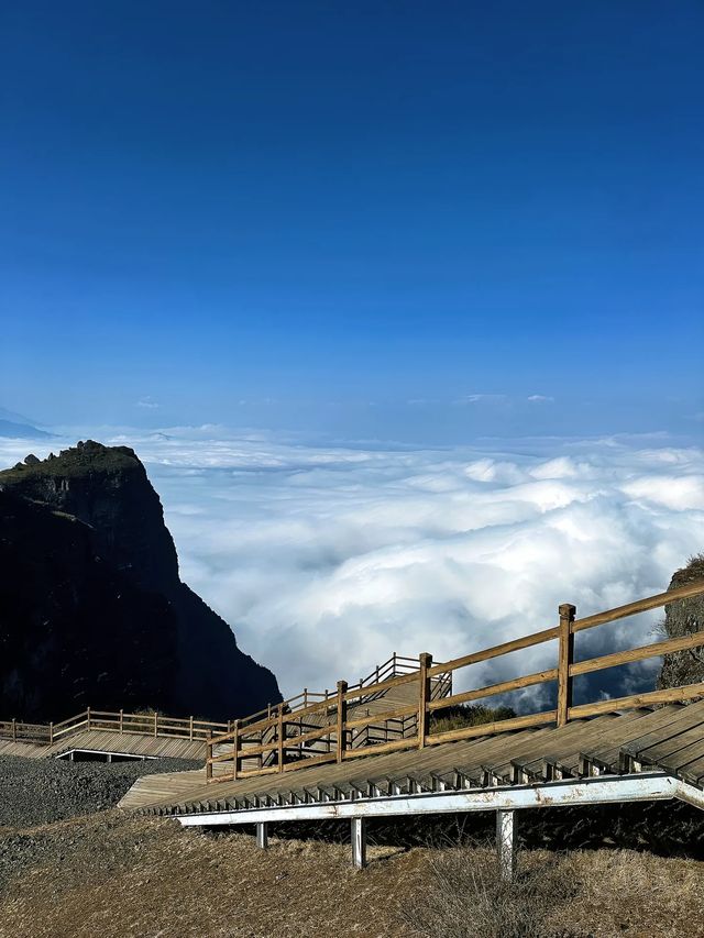 湖北22℃嘅森林秘境似仙俠世界