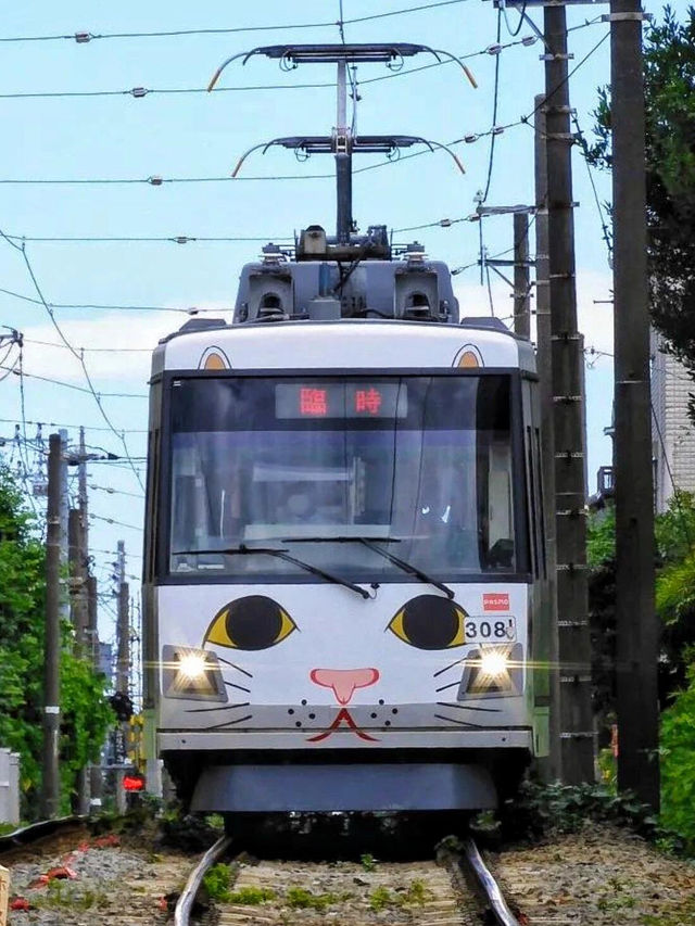 🚃東京必打卡！通往幸福的招財貓電車🚃