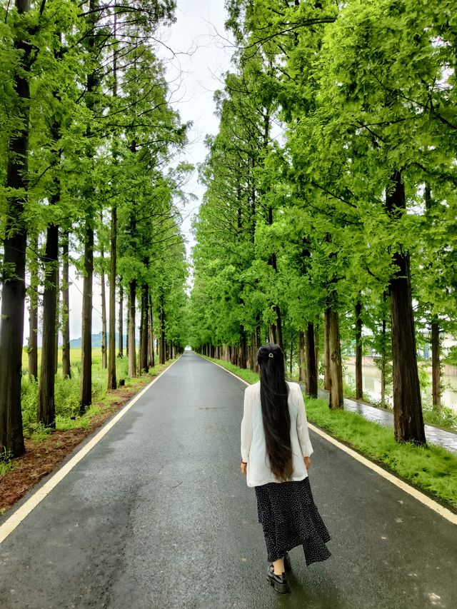 32.4  溧陽長蕩湖