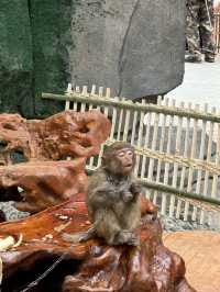洛陽·宜陽｜竟然藏咗一個咁好玩嘅動物園！