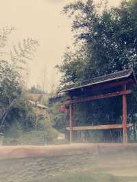  探秘台北陽明山，盡享溫泉之樂
