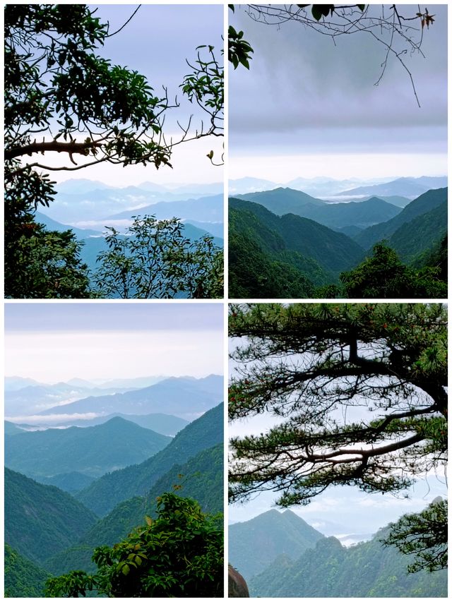 三清山雨天遊山攻略