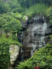 Pofeng ridge trails 