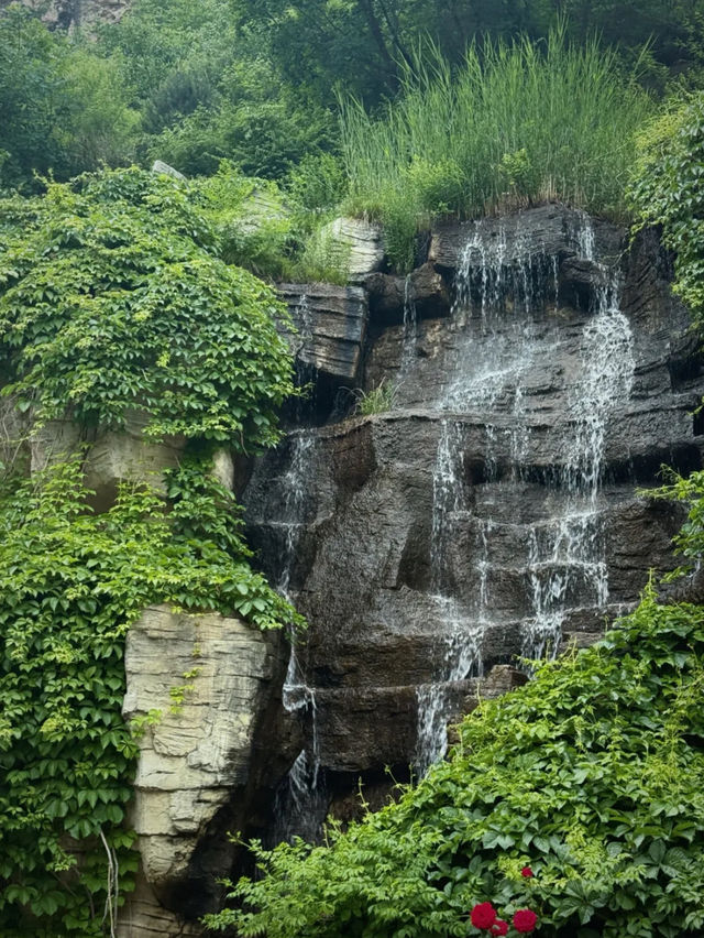 Pofeng ridge trails 
