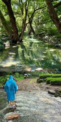 跟風成功！今次我踏入咗雨天行山嘅仙境！