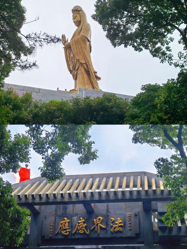 普陀山 | 從竹香居出發嘅禪意漫遊