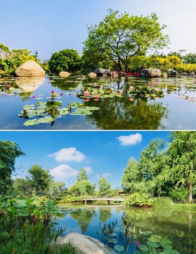 海悅嘅夏天：山海相擁嘅園林秘境