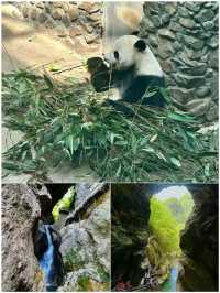 啱啱從神農架返嚟，講啲真心話