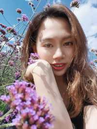 超級無敵好影嘅酒店同景區 冇得輸 彌勒東風韻藝術小鎮與美憬閣精選酒店係雲南紅河州彌勒市嘅一處獨特度假勝地，融合咗藝術、自然同奢華體驗。