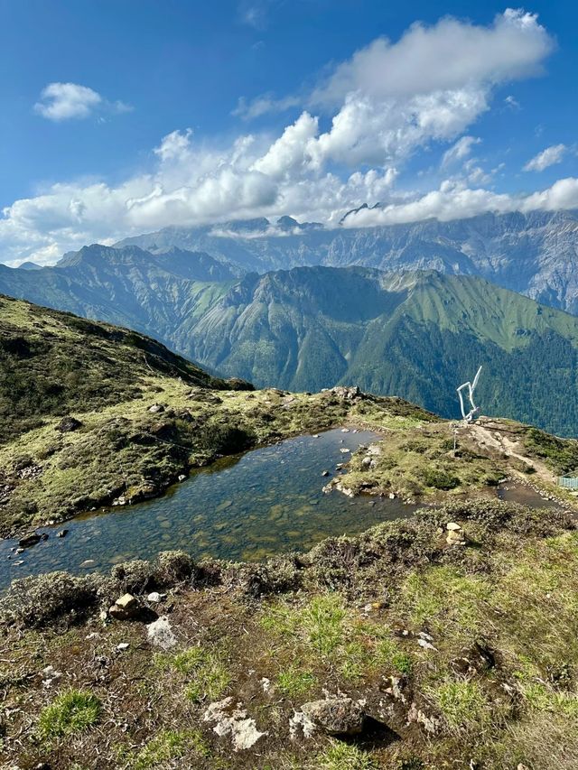 二郎山喇叭河餵鹿睇猴行山攻略，差啲俾馬騮襲擊！