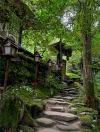 有種京都嘅寧靜感～適合放鬆吸氧嘅好地方！