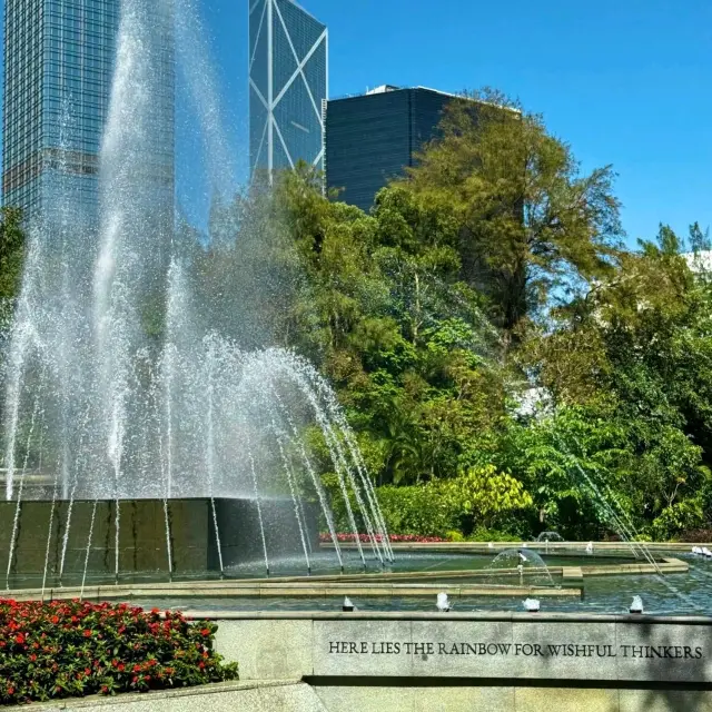 香港動植物公園！呢個冷門公園火烈鳥喺陽光下靚到令人窒息