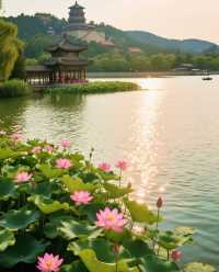 3日暢遊 夏日-杭州美景一網打盡