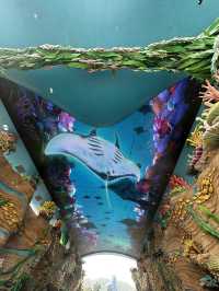 珠海海洋王國 ‘魚’樂無窮🐠🐬🪼🐡