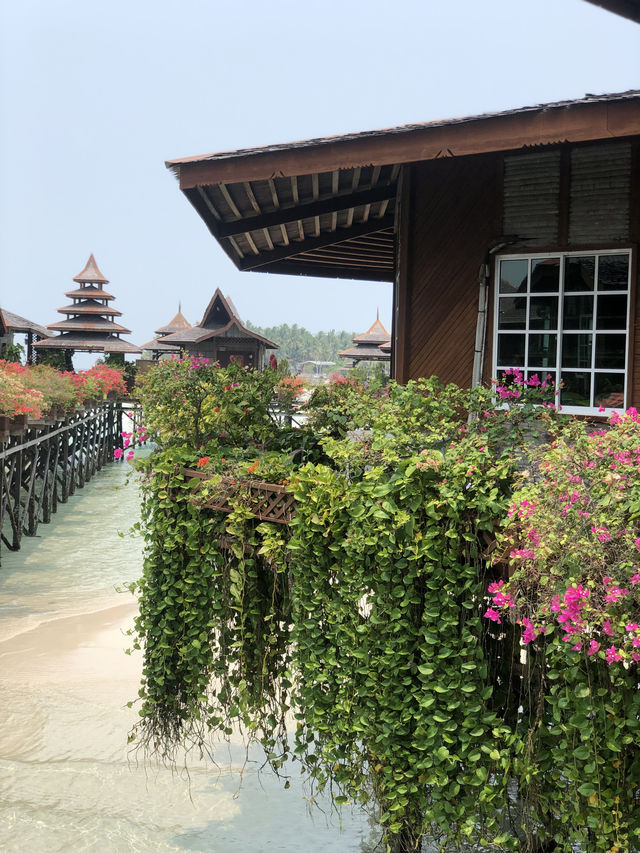 仙本那水屋天花板！住進玻璃海，美到窒息