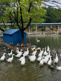 《太原》森林公園