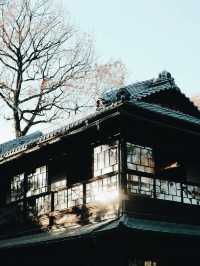 時代を超える旅：江戸東京たてもの園で昔を感じる】**  