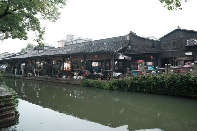 煙雨洗青簷，初夏邂南潯