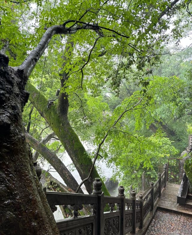 汀州遊