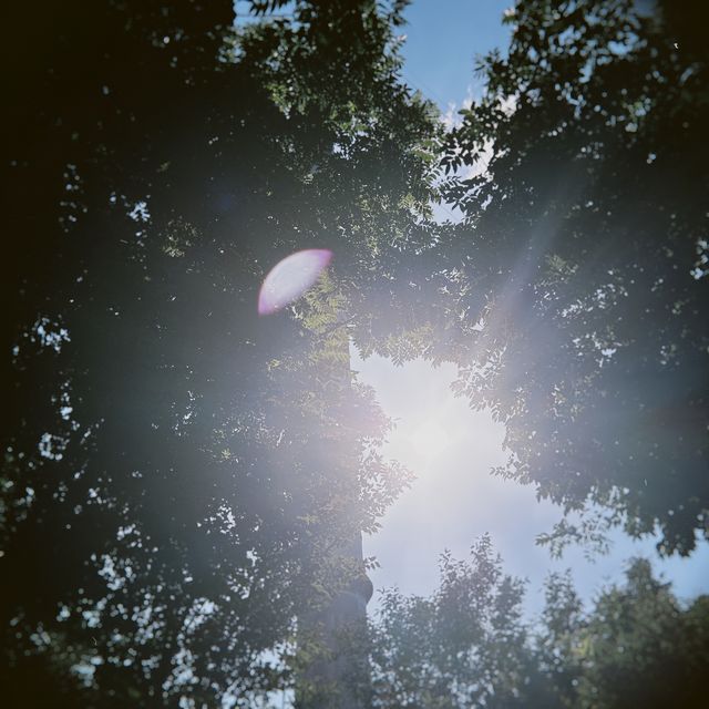 城市縫隙裡的夏日漫遊
