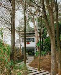 南寧狮山公園拍照秘境分享