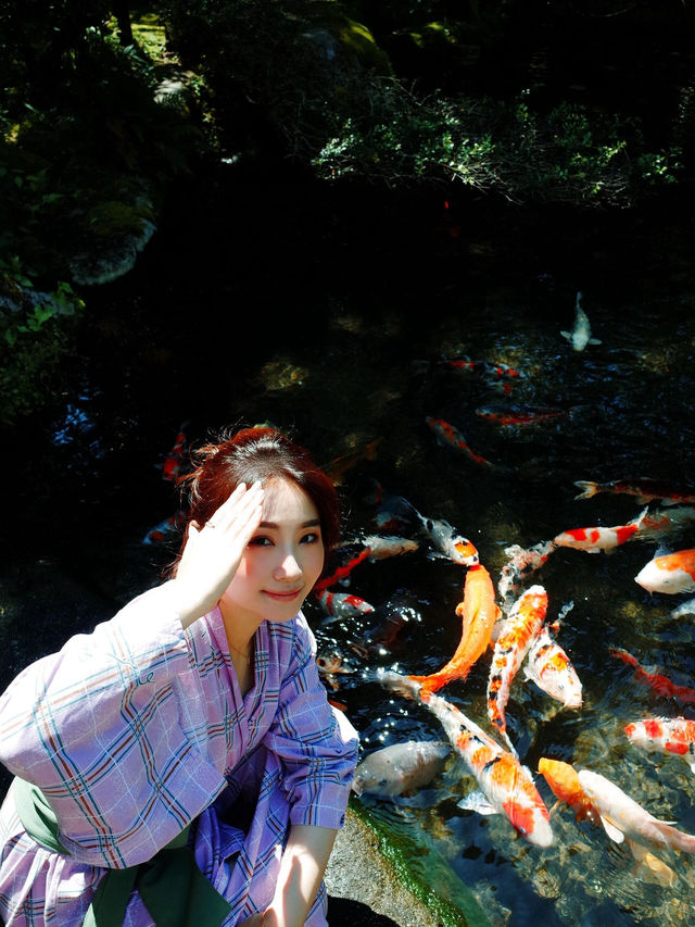 沿著伊豆回到箱根，住了兩日吉池旅館，終於明白為什麼它被說成「箱根必住」——看山看海看錦鯉，泡溫泉飲清酒，時間彷彿都慢了下來🍶