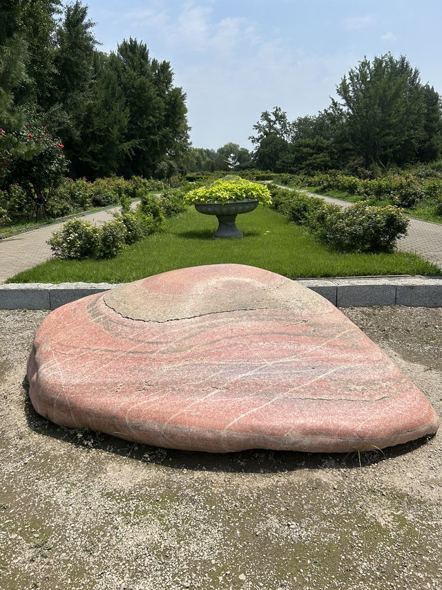 China National Botanical Gardens in Beijing!